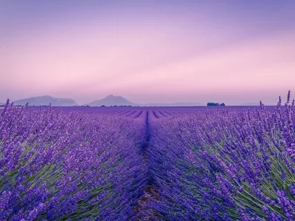 Sharing & Giving - Weekly Energy Boost