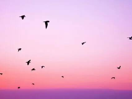 Sharing Joy With Yourself And Others