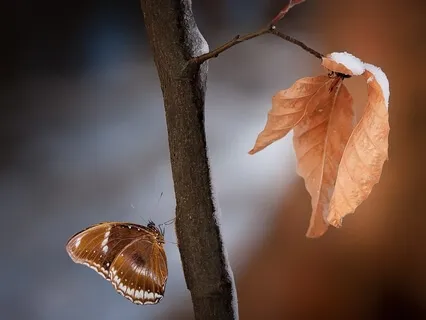 Sharing Loving Kindness & The 12 Step Prayers