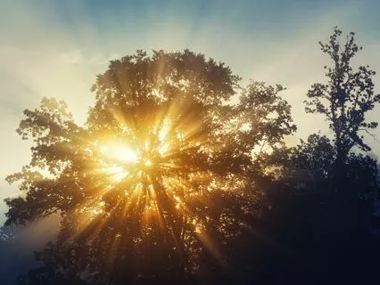 Sharing Loving Kindness