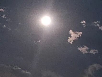 Sharing My Truth Love