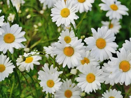 Sharing Your Gifts Without Expectation  - July 18th