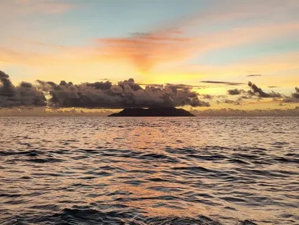 Sharks | Gentle Ocean Facts For Sleep