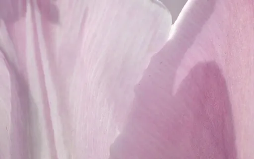 Sharpened Pink Noise - The Pink Noise Collection