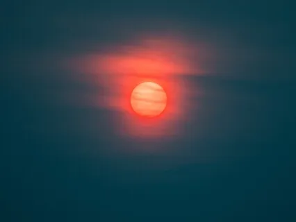 Shavasana Led By Charles MacInerney