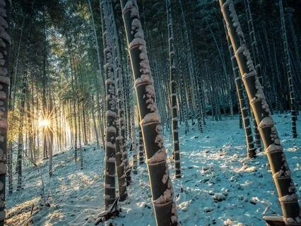 Shavayatra Relaxation