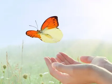 She Let Go Poem By Safire Rose