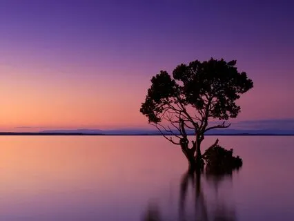 Shed Your Stress | Meditation For Mental Relaxation