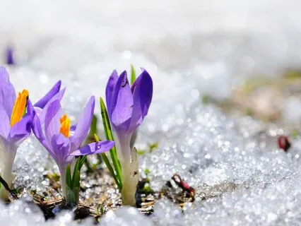 Shedding And Releasing What No Longer Serves You