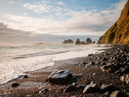 Shedding Old Programing Yoga Nidra