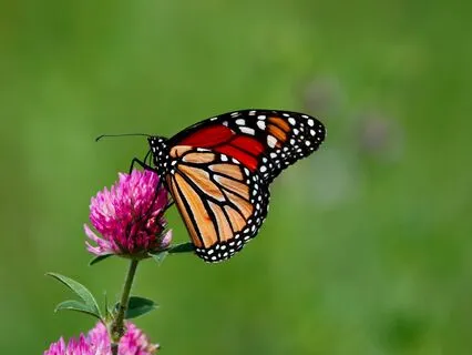 Shedding The Ego To Live Your Truth With Sasha Lipskaia