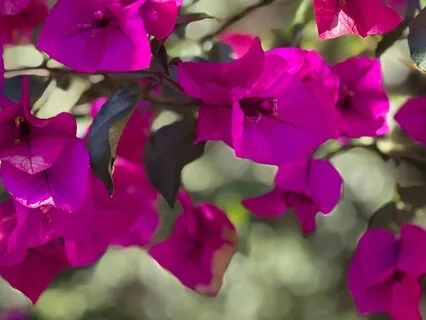 Shedding The External Layers To Discover Awareness