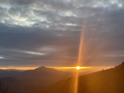 Shedding The Old You