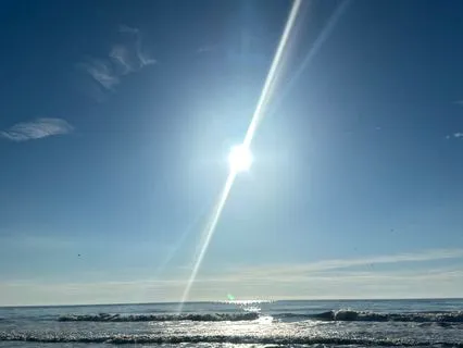 Shedding The Year: Releasing What No Longer Fits