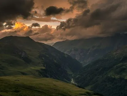 Sheep – Fluffy Ruminants And Other Sleep Clichés