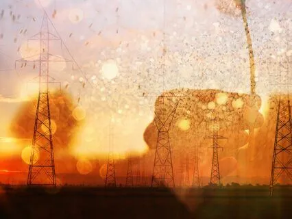 Sheltered From The Winds