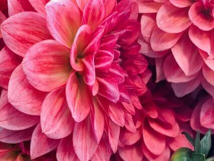 Overwhelm Release 5 Minute