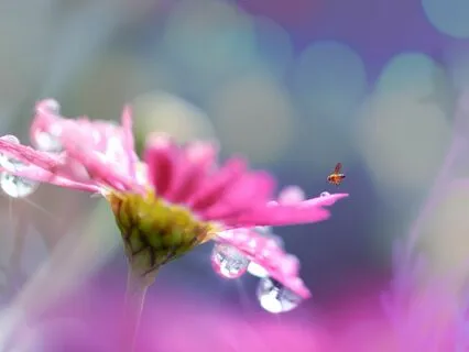 Shift And Reset Into Your Heart State