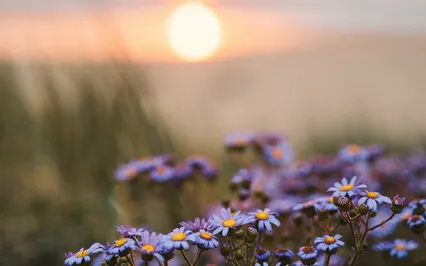 Shift From Doing To Being