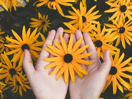 Shift Out Of Anxiety