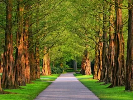 Shift Overwhelm To Calm & Focus So You Can Get Things Done