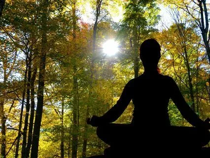 Shift To Your Highest Timeline! 369 Hz + 963 Hz Tuning Forks