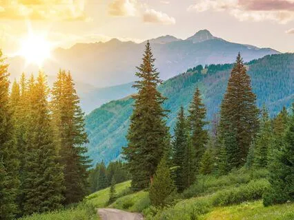 Shift To Your Highest Timeline With Tuning Forks (Delta)