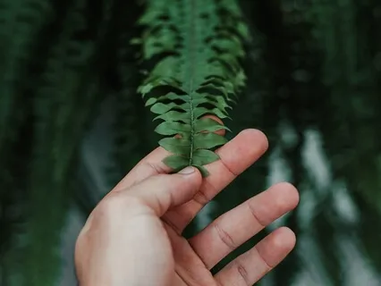 Shift Your Focus Inward & Release Stress