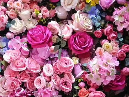 Shift Your Money Mindset & Attract Abundance