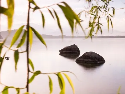 Shift Your Perspective