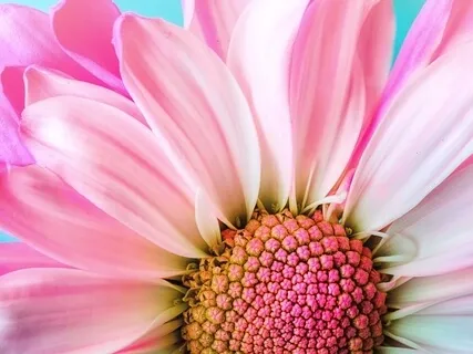 Shifting A Personal Relationship Into Light 