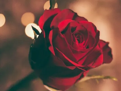 Shifting & Changing Your Reality