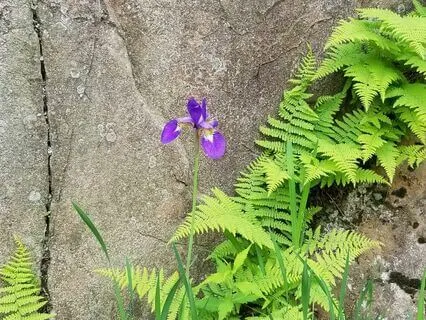 Shifting From This Moment To A Deeper Calm And Recharge