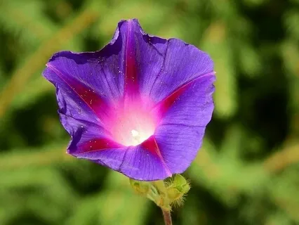 Shifting Into Abundance