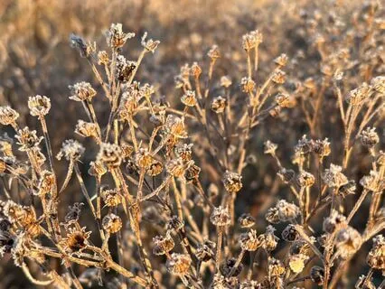 Shifting Into Positivity: A Midday Reset