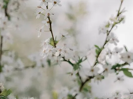 Shifting Perspective