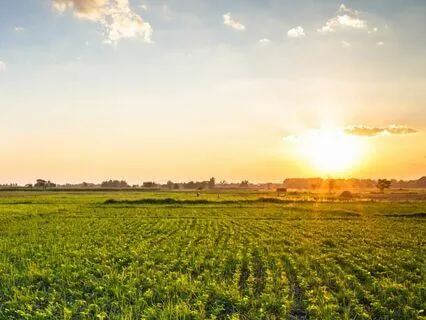 Shifting Reality: Long Bedtime Story