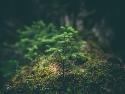 Shifting The Paradigm For Giving & Receiving - A Live Shaltazar Channeling