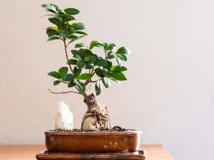 Shifting The Seat Of Consciousness (+10 Mins Silence)