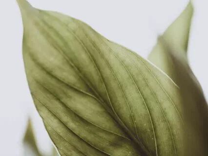 Shifting Tonight To Unlock Potential