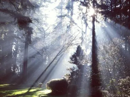 Shifting Your Perspective