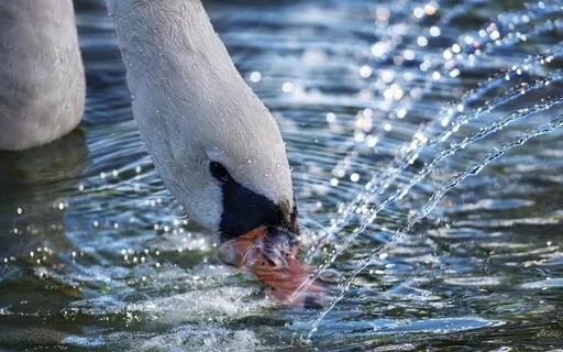 Shimmer Activation - 432Hz - Bright - Powerful - Ethereal