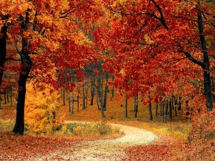 Shimmering In 622.25 Hz - Piano And Violin In D Sharp