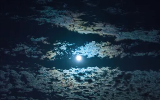 Shimmering Moonlight