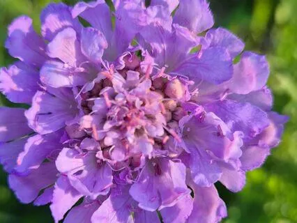 Shin Jin Datsu Raku: Body And Mind Abandoned In The Practice