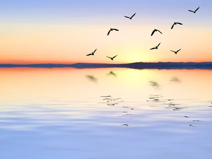 Shine A Light On Negative Energy