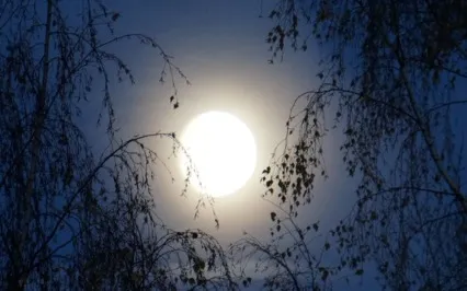 Shine From Within Sleep Meditation