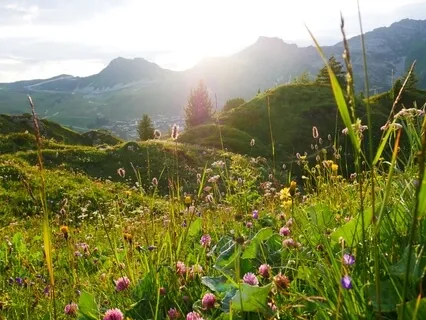 Shine. What You Bring To The World, No One Else Can Bring