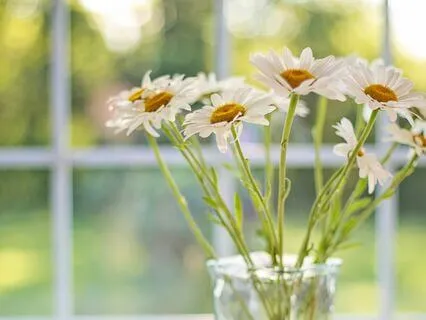 Shine Your Light: A Morning Guided Message