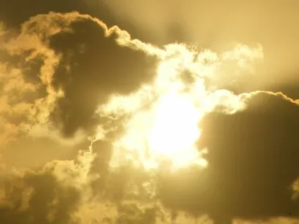 Shine Your Light In The City